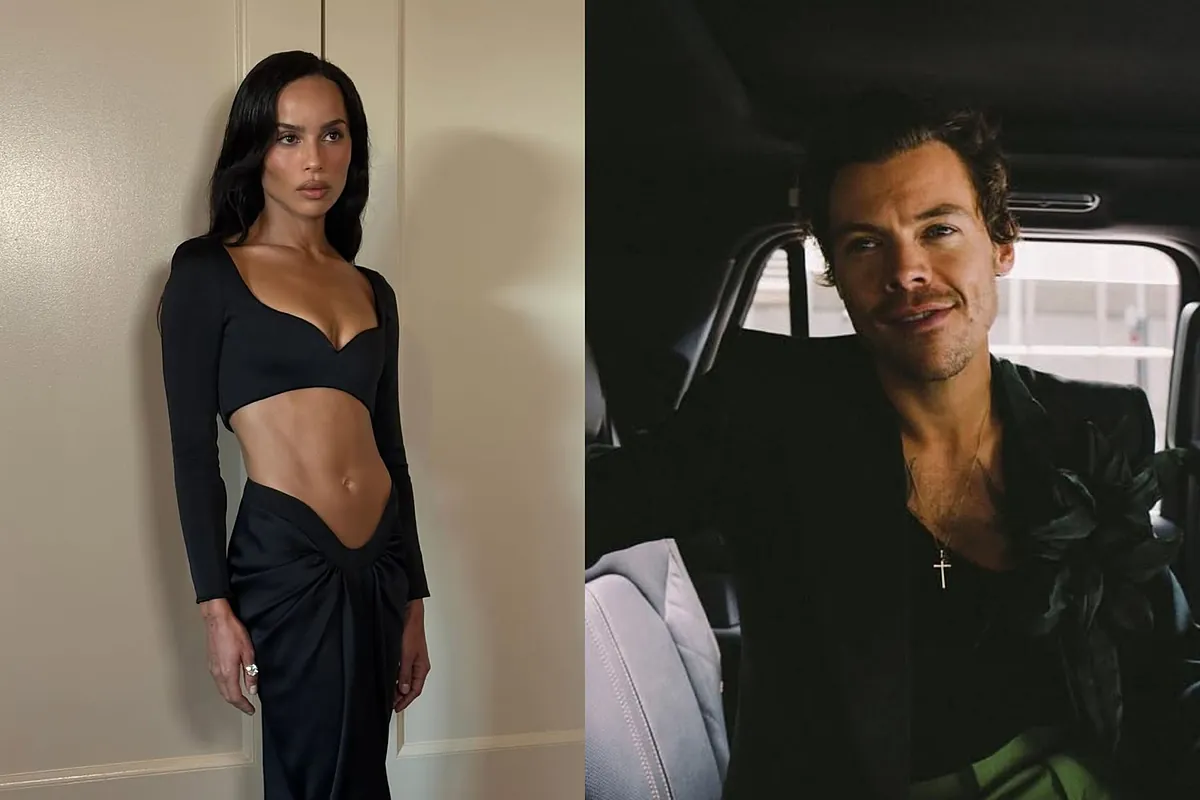 Harry Styles parece ter ganhado um aliado poderoso que poderia explicar seu compromisso com Zoe Kravitz