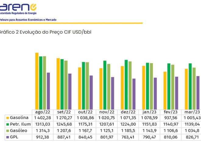 Moçambique importa gasolina e gasóleo a preço mais baixo do que em 2022 – Verdade