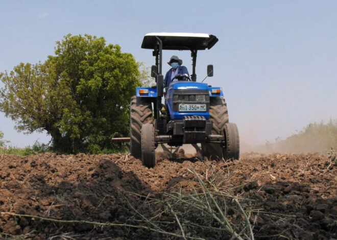 Elevados custos dos combustíveis “asfixiam” produtores agrícolas em Gaza – O País