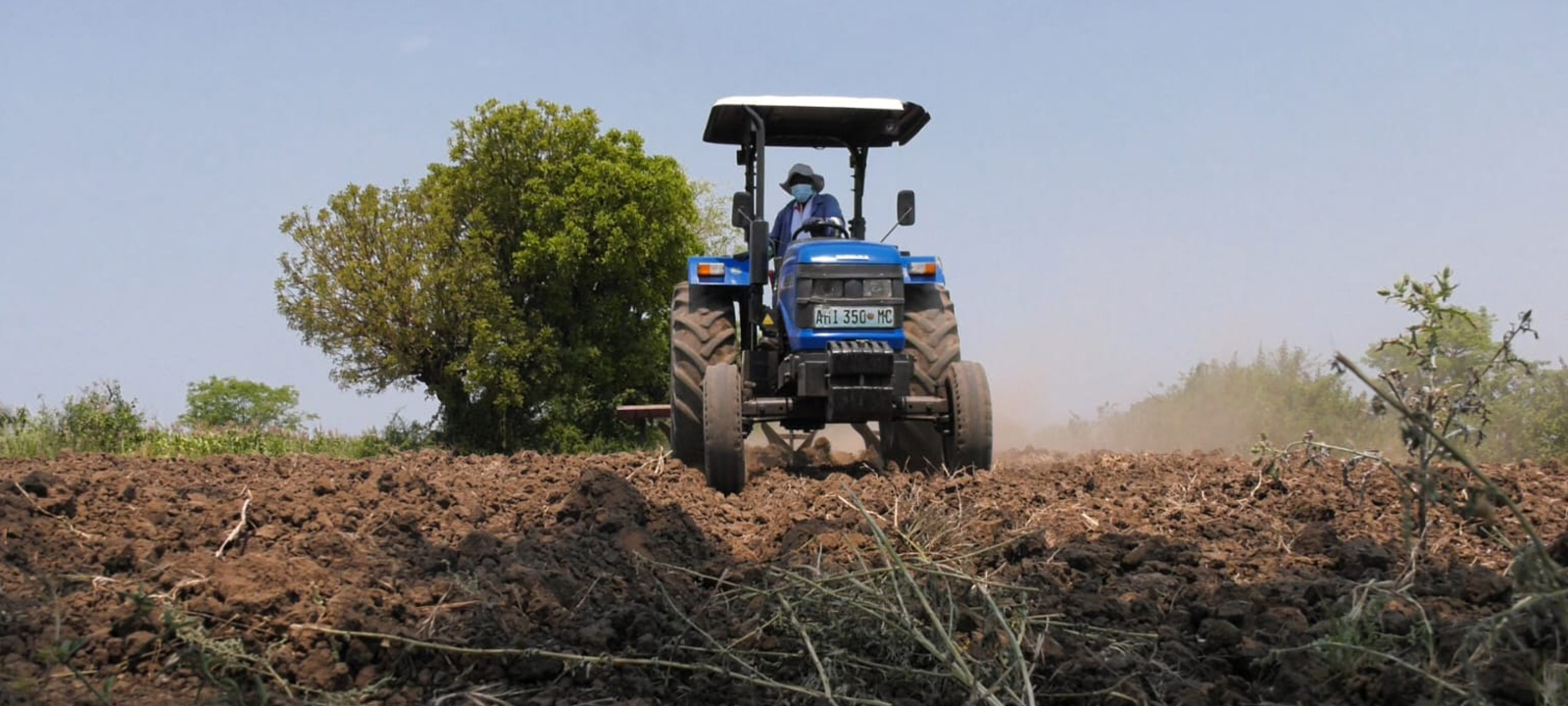 Elevados custos dos combustíveis “asfixiam” produtores agrícolas em Gaza – O País