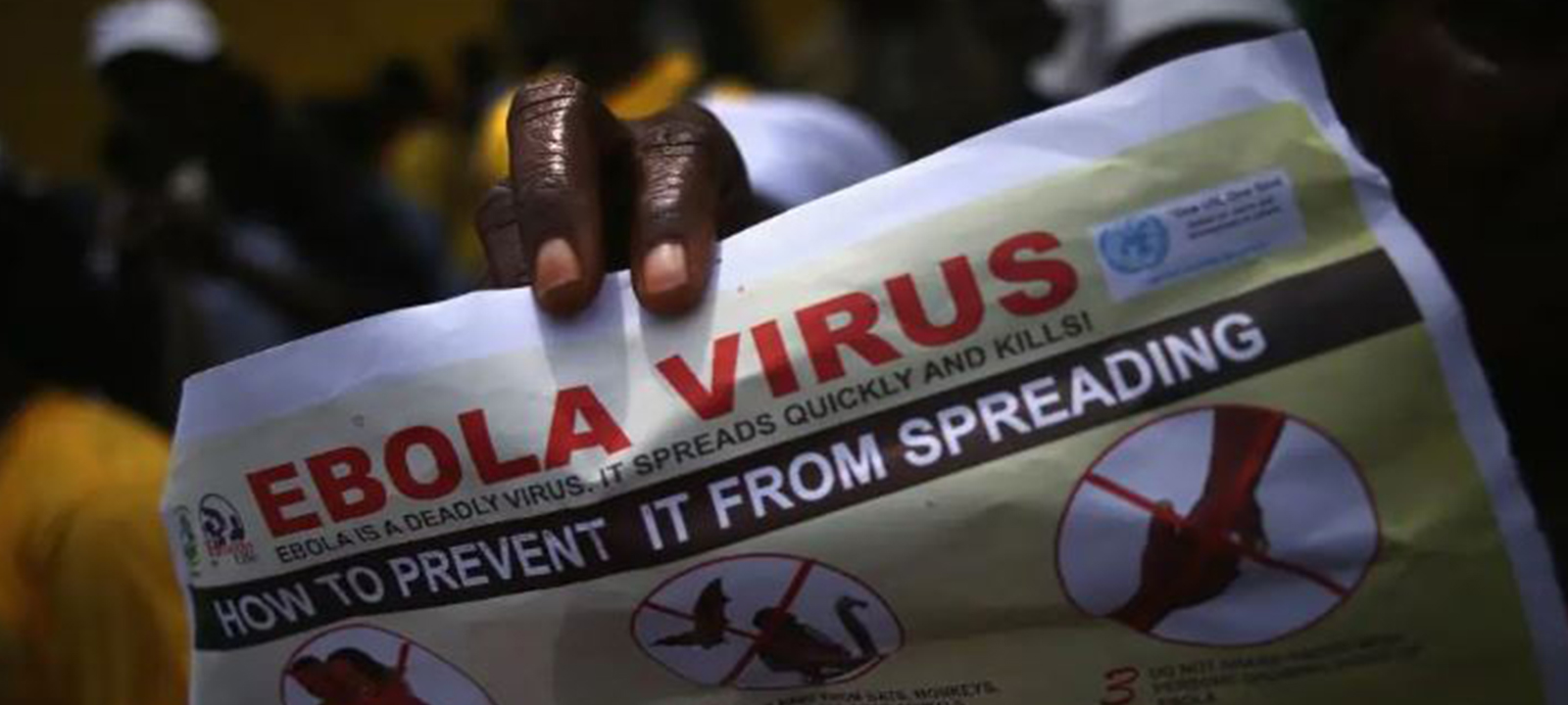 Corrida Contra o Ébola: UNICEF, OMS e UE Enviam Ajuda Urgente ao Congo – O País