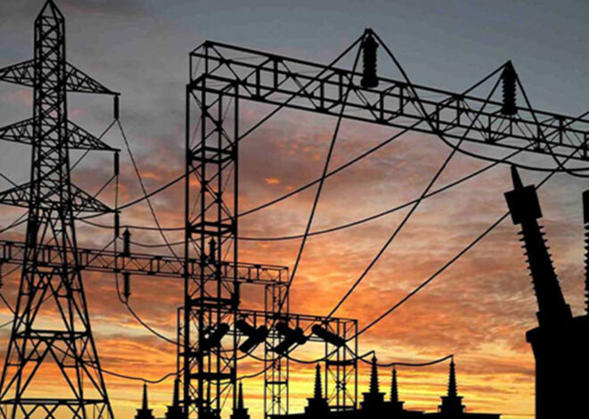 EDM Discute Desafios da Universalização da Energia Eléctrica até 2030 – O País