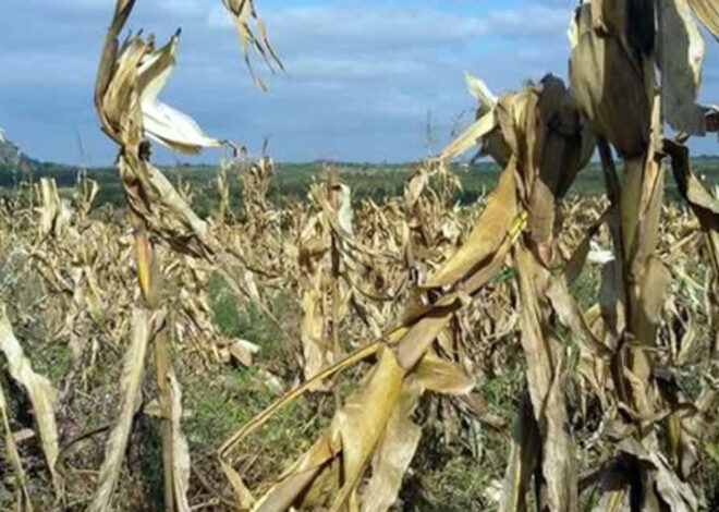 Moçambique pode voltar a enfrentar El Niño