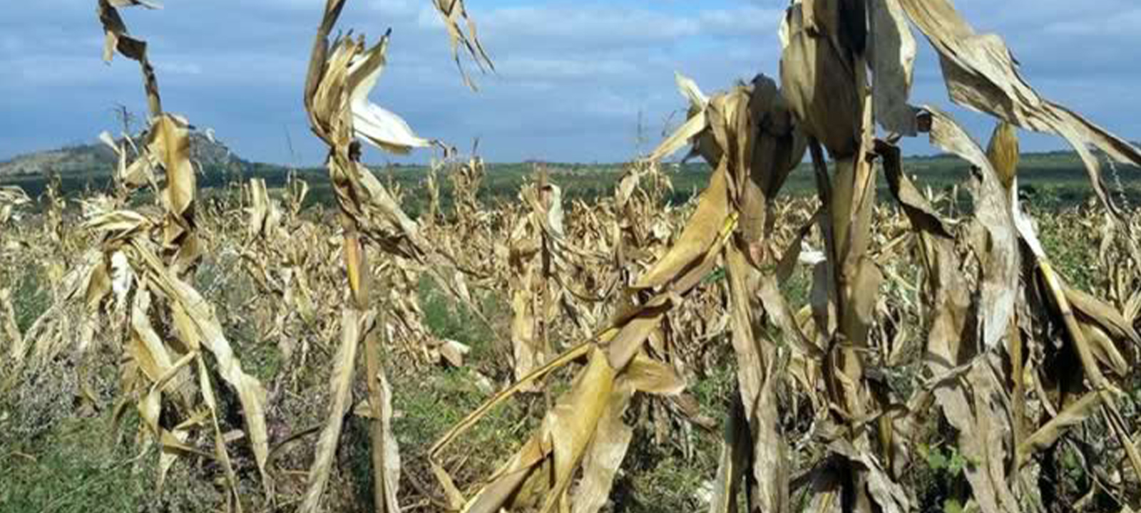 Moçambique pode voltar a enfrentar El Niño