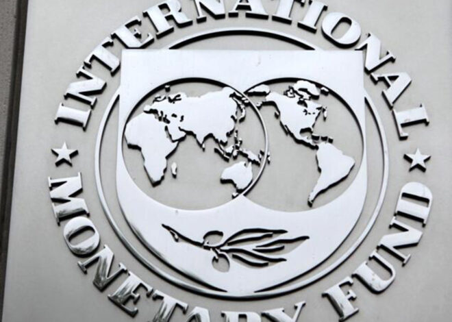 FMI prevê recuperação da economia moçambicana em 0,5% neste ano – O País