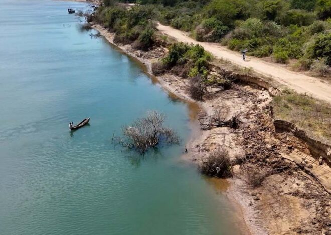 Comunidades de Nova Mambone travam avanço do mar com mangal e sacos de areia – O País
