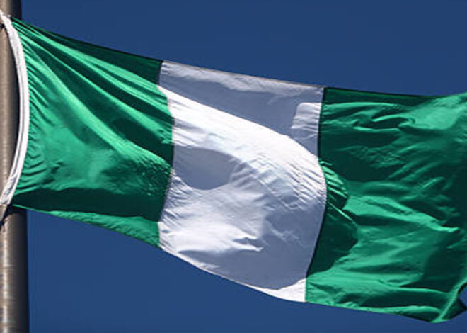 268 nigerianos retirados da África do Sul