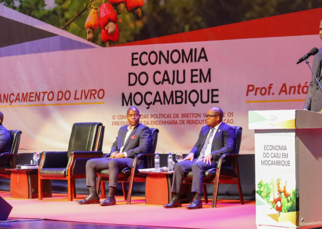 PR defende transformação económica baseada na industrialização e agregação de valor – O País