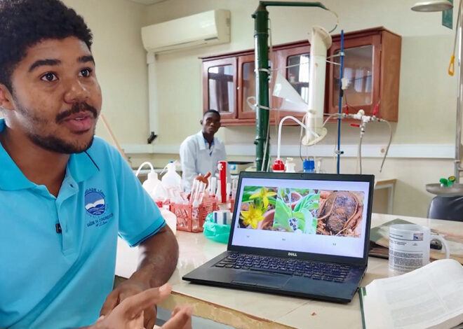 UniLúrio revela estudo sobre “batata africana” e aposta em inovação científica na saúde – O País