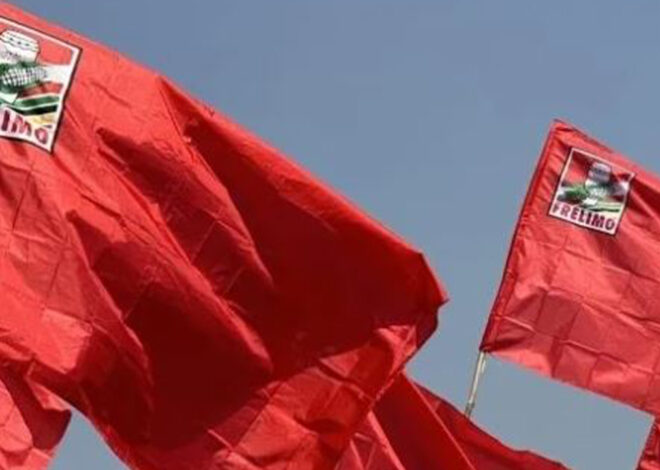 Frelimo esclarece que revitalização dos órgãos em Gaza e Maputo não visa destituir dirigentes