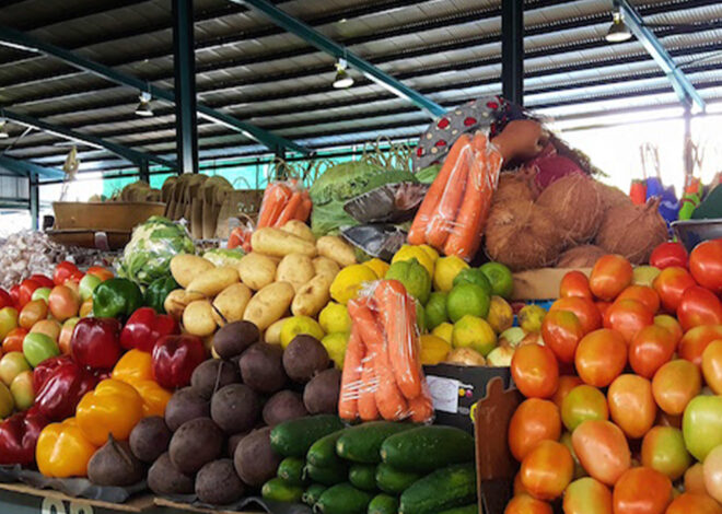 Subida dos preços dos alimentos agrava custo de vida na cidade de Maputo – O País