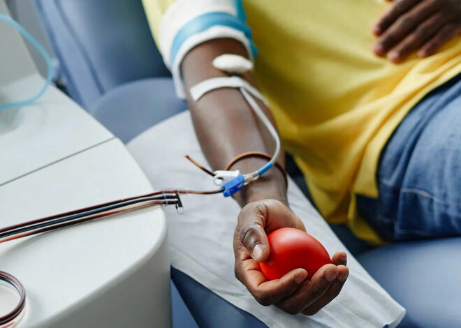 Apenas 0,3% da população doa sangue em Moçambique – O País