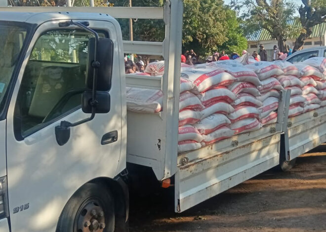 População de Chilembene intercepta camião com produtos desviados de Chibuto – O País