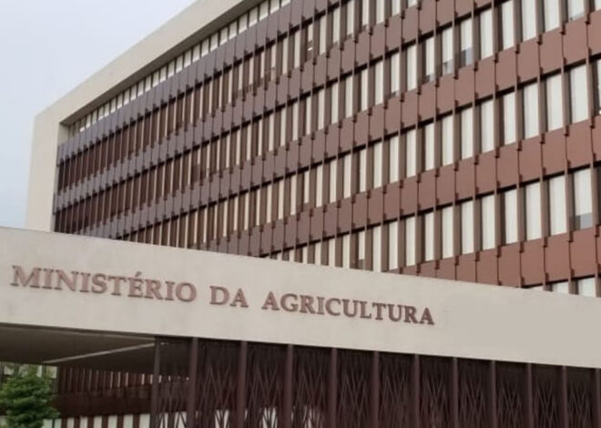 Maputo recebe Reunião Nacional de Sanidade Animal