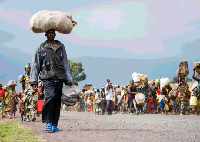 ONU quer reduzir número de refugiados para metade até 2035 – Jornal Domingo