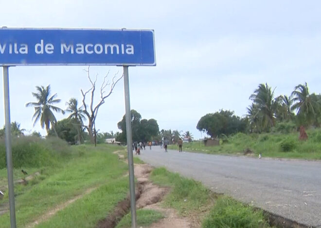 ACNUR alerta para impacto do terrorismo em Cabo Delgado – O País