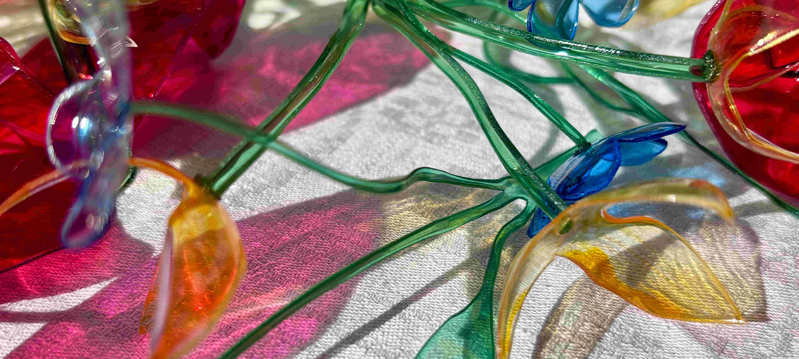 Fundação Fernando Leite Couto acolhe exposição sobre impacto dos plásticos no ambiente – O País