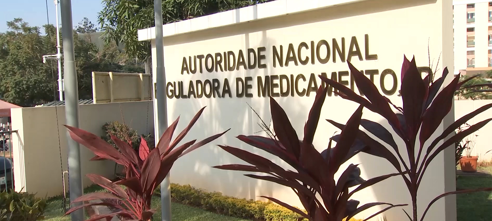 ANARME retira do mercado testes rápidos e medicamentos por risco para a saúde pública – O País