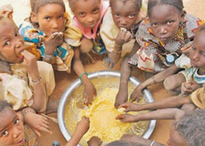 Fome afecta cerca de 645 milhões de pessoas, quase metade em África – O País
