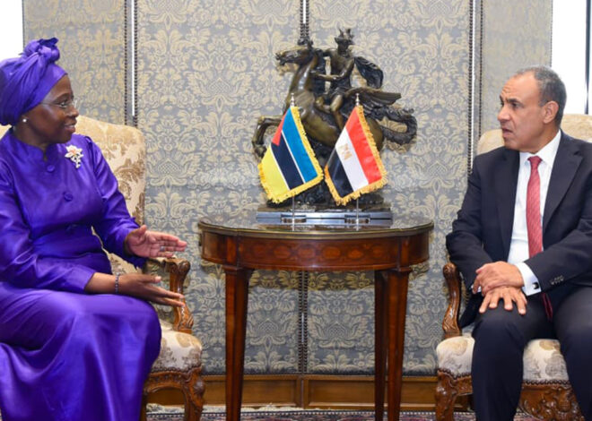 Moçambique e Egipto querem reforçar cooperação económica – O País