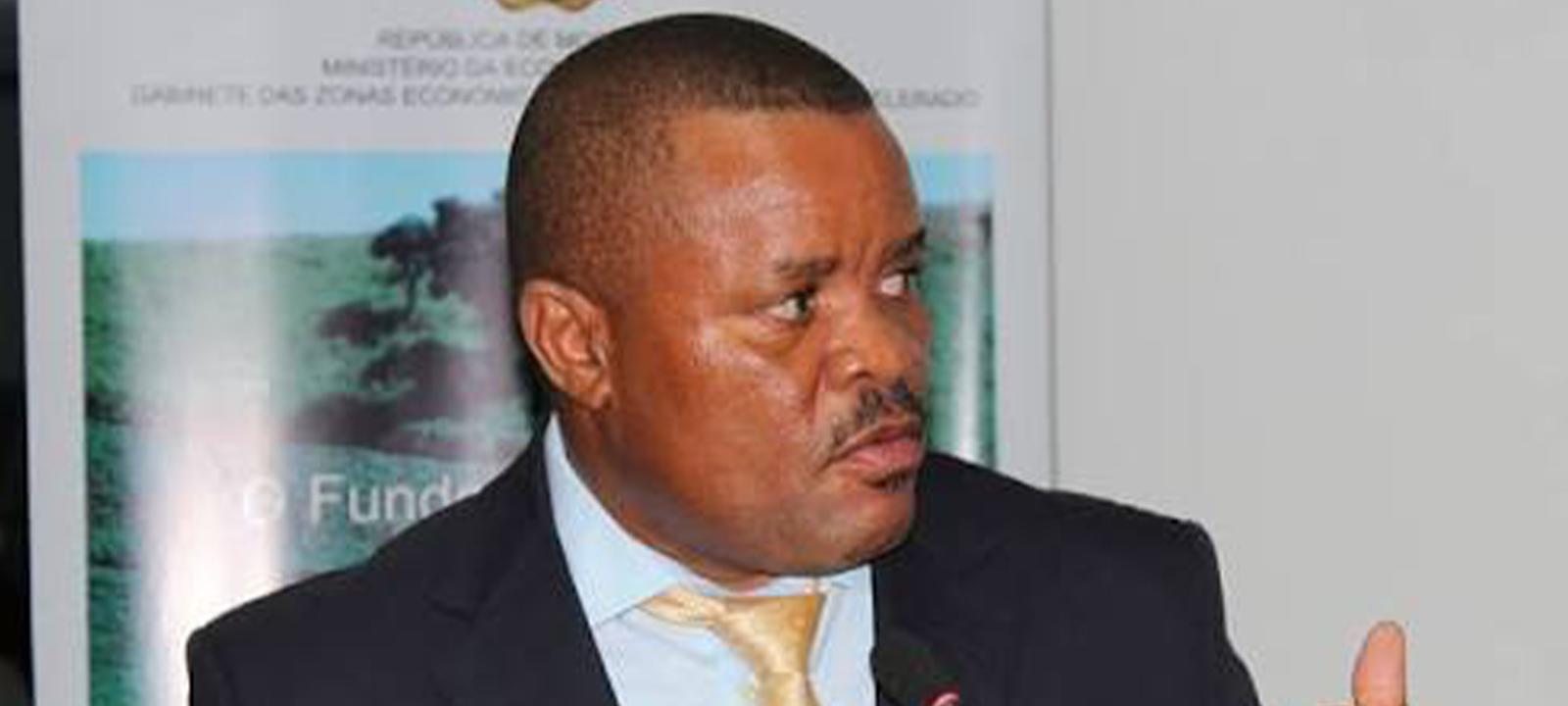 Ministro destaca parceria entre Moçambique e Portugal para impulsionar investimento no sector agro-florestal – O País