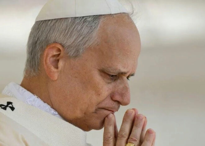 Papa reza pelas vítimas dos incêndios em Espanha e França e apela à paz – O País