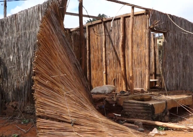 Disputa por terreno em Chibuto deixa oito sobrinhos ao relento – O País