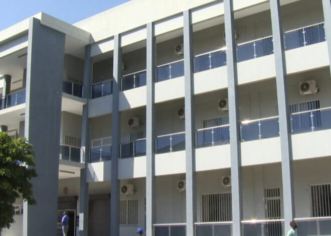 Empresário chinês condenado a 8 anos por fraude na exportação de madeira em Sofala – O País