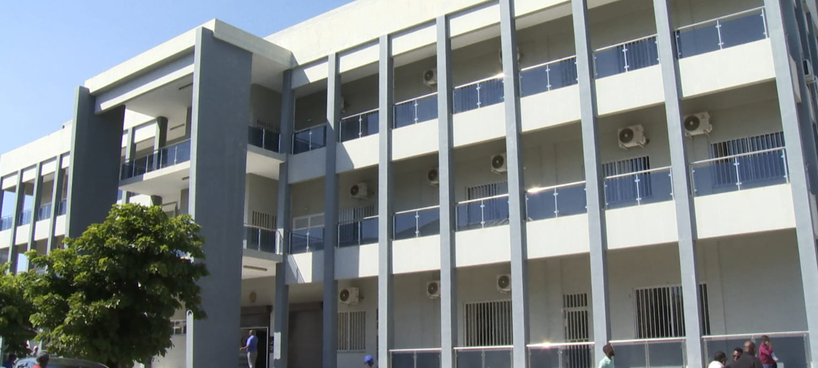 Empresário chinês condenado a 8 anos por fraude na exportação de madeira em Sofala – O País