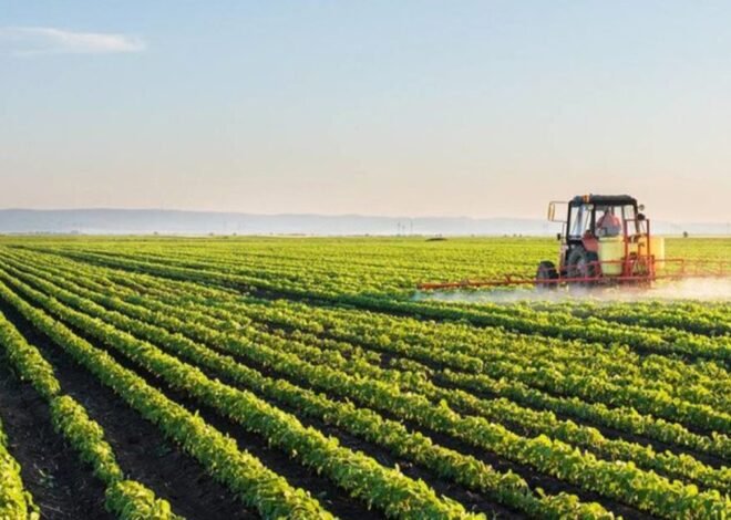 Moçambicanos vão exercer trabalho migratório nos EAU – O País