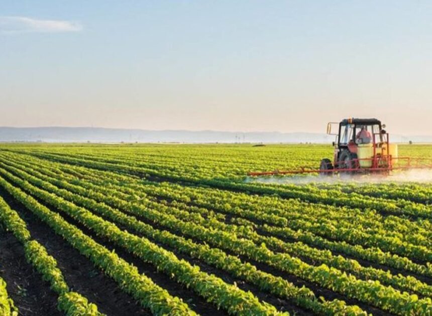 Moçambicanos vão exercer trabalho migratório nos EAU – O País