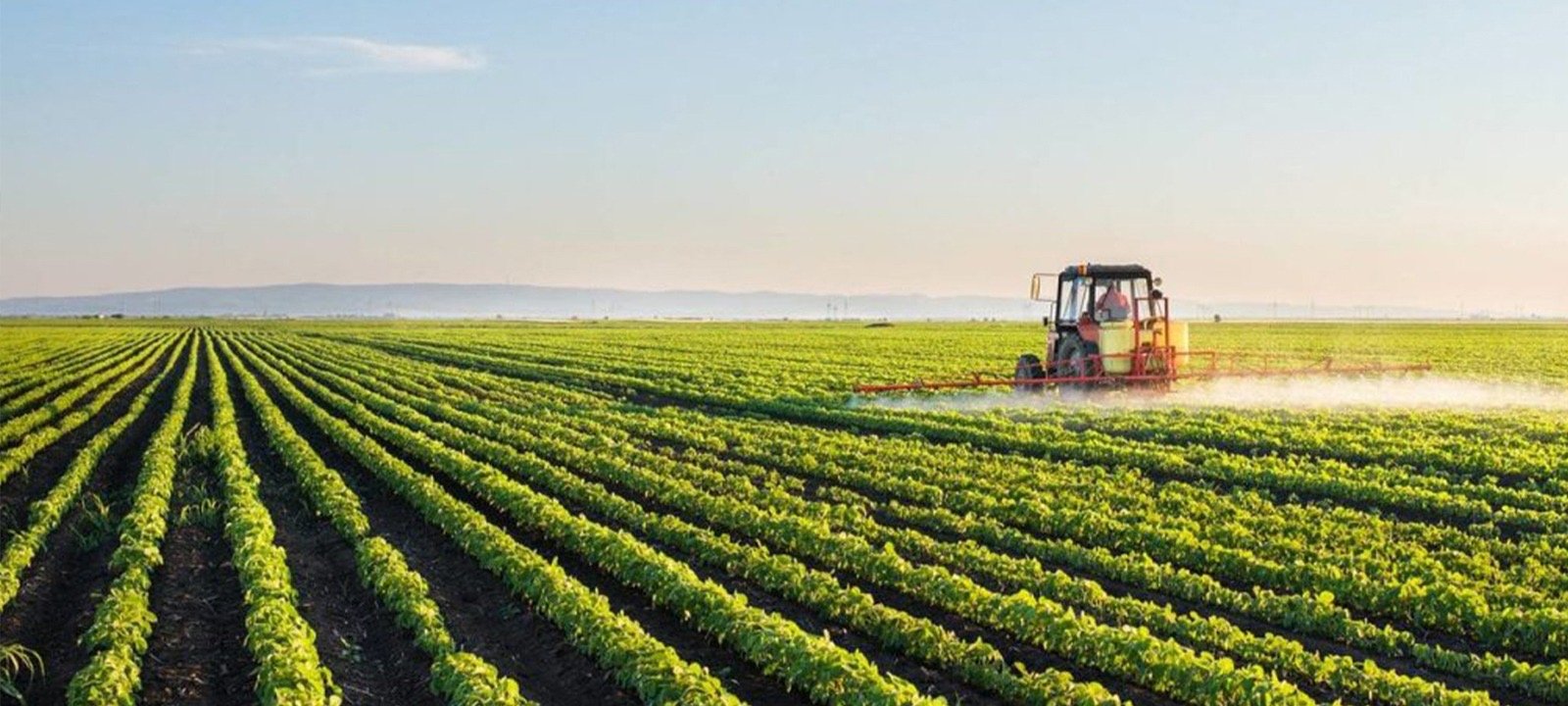 Moçambicanos vão exercer trabalho migratório nos EAU – O País
