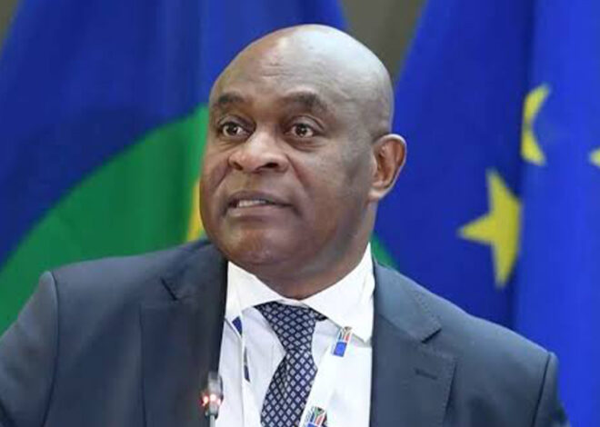 África do Sul pede a países africanos reembolso de custos de repatriamento de migrantes – O País