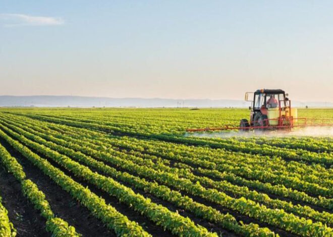 Moçambique quer investir 1.400 milhões para mais produtividade agrícola – O País