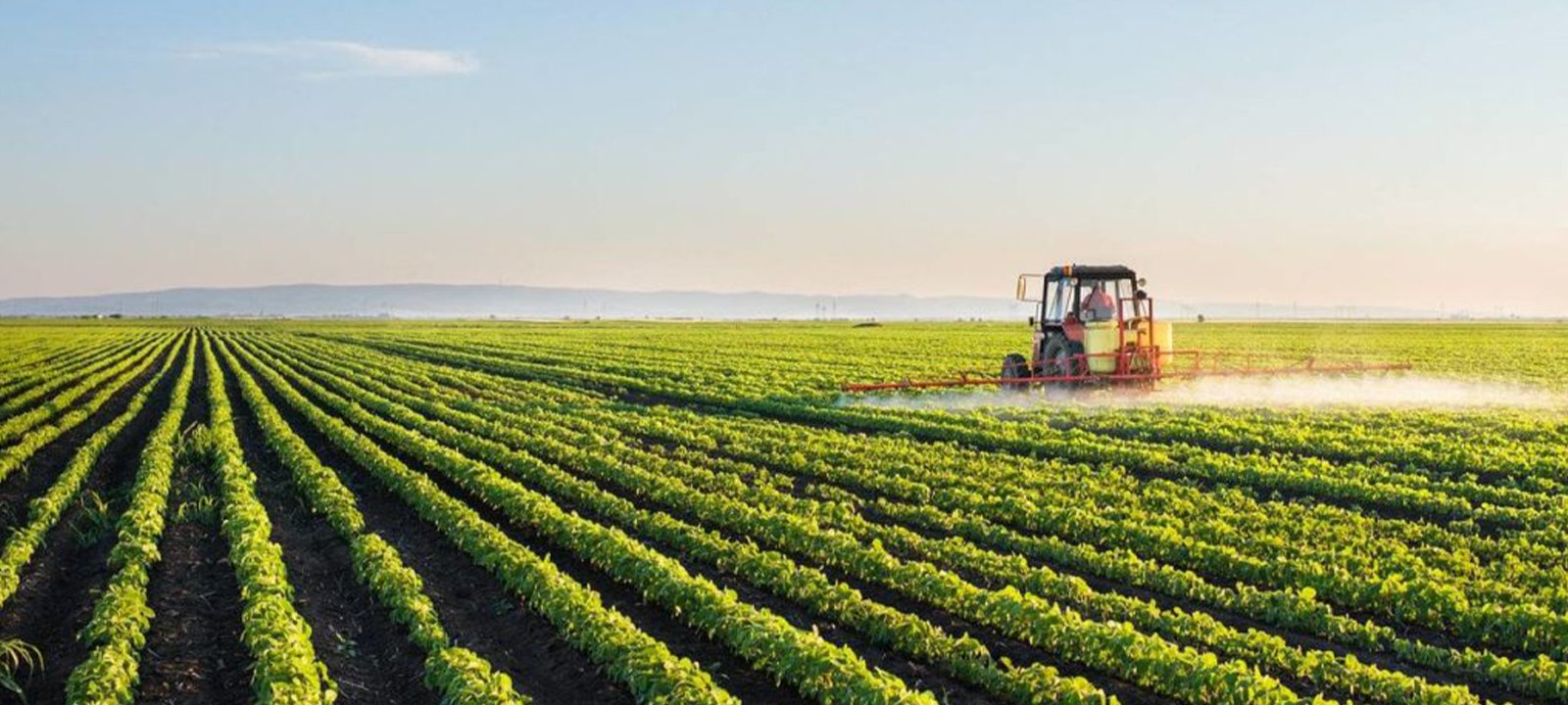 Moçambique quer investir 1.400 milhões para mais produtividade agrícola – O País