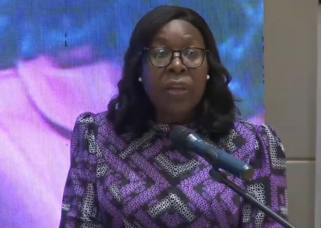 Benvinda Levi apela à modernização dos sistemas eleitorais da SADC – O País