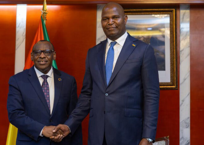UNECA reforça apoio ao desenvolvimento de Moçambique após encontro com o Presidente da República – O País