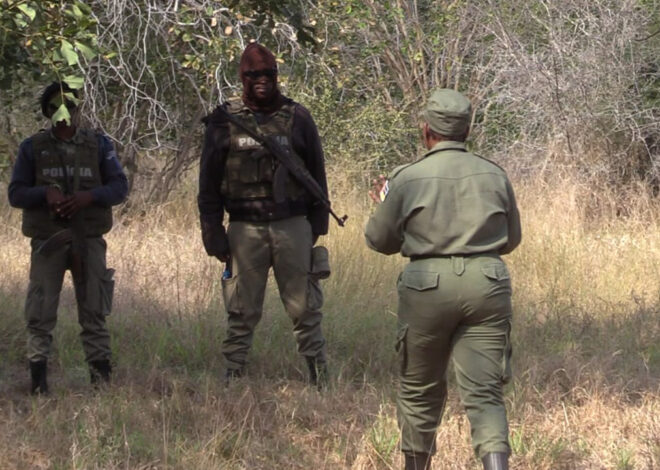 Fabrico e venda de armas caseiras em Chigubo alimentam nova onda de caça furtiva em Banhine – O País