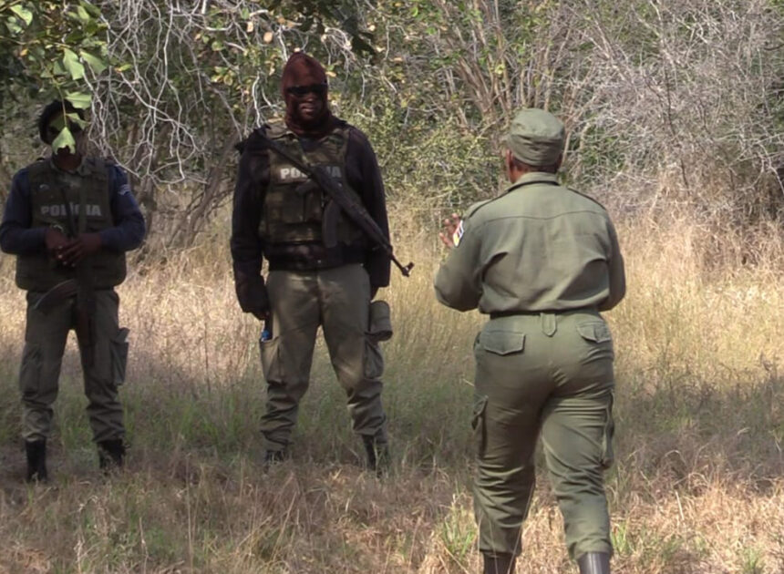 Fabrico e venda de armas caseiras em Chigubo alimentam nova onda de caça furtiva em Banhine – O País