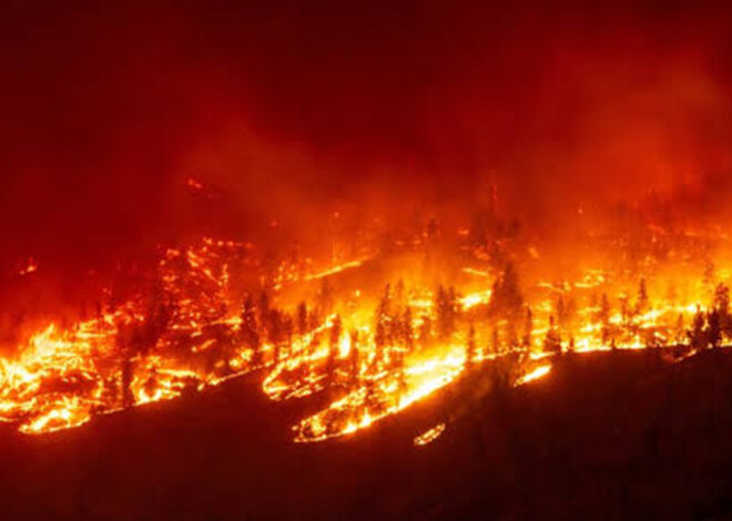 Incêndio no Canadá obriga à evacuação de mais de 20 mil pessoas – O País
