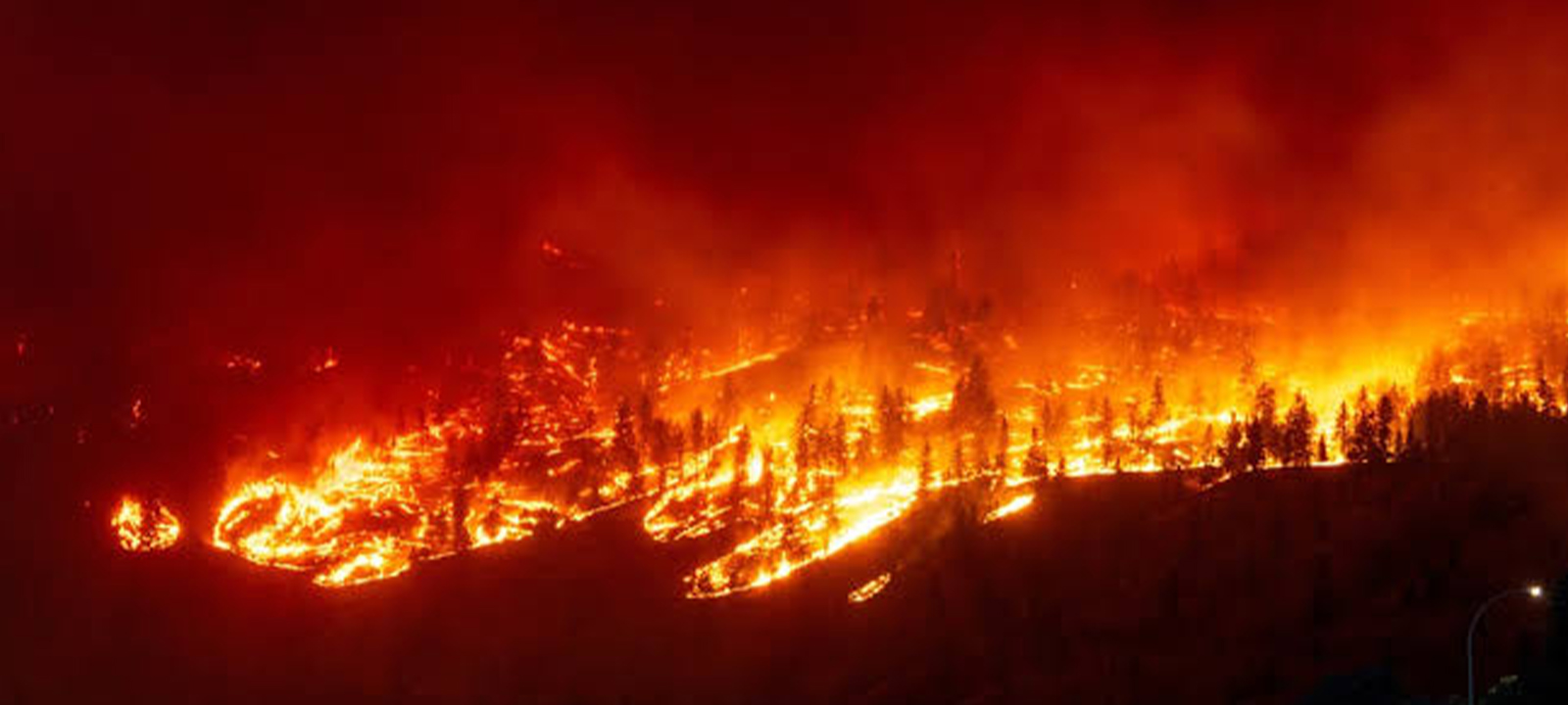 Incêndio no Canadá obriga à evacuação de mais de 20 mil pessoas – O País