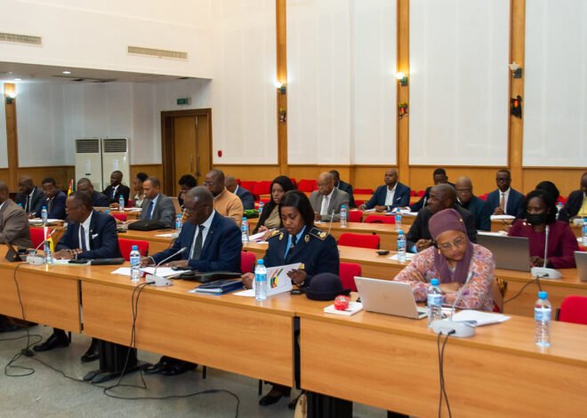 Moçambique e Índia discutem mecanismos para reforço da cooperação – O País