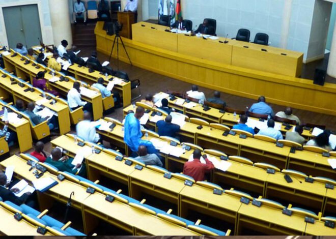 Guiné-Bissau prepara referendo sobre nova Constituição – O País
