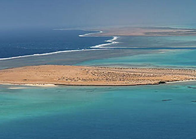 Arábia Saudita pede reforço da presença europeia no Mar Vermelho – O País