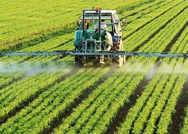 Falta de informação, financiamento e infra-estruturas travam transformação da agricultura em Moçambique – O País
