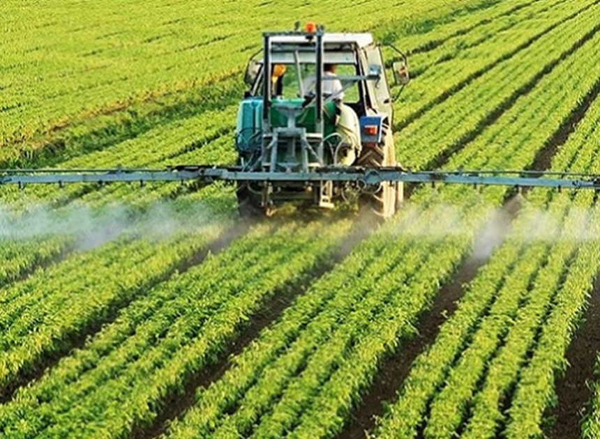 Falta de informação, financiamento e infra-estruturas travam transformação da agricultura em Moçambique – O País