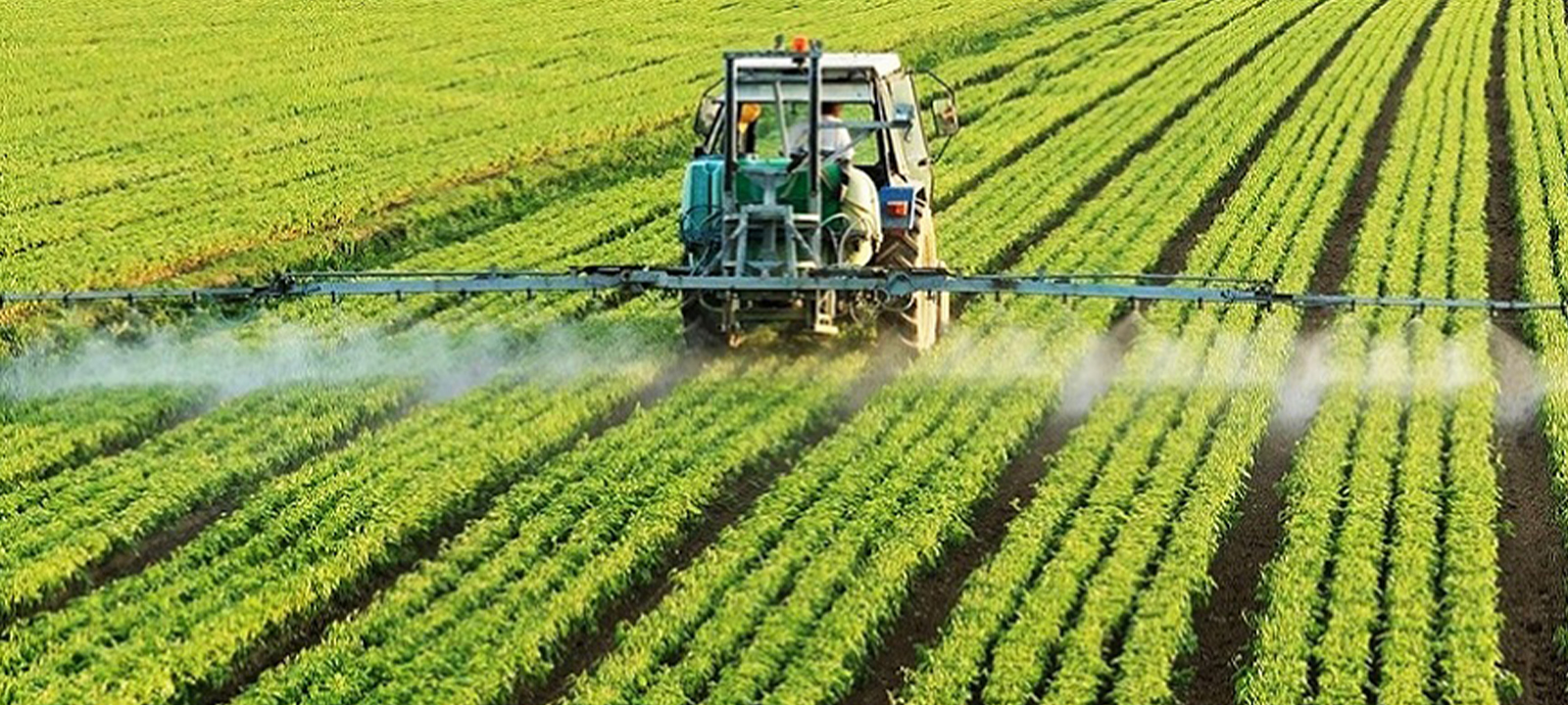 Falta de informação, financiamento e infra-estruturas travam transformação da agricultura em Moçambique – O País