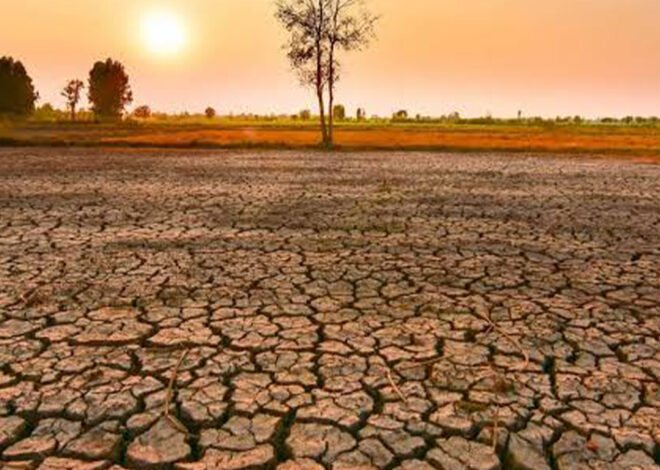 El niño ameaça populações de sete distritos de Tete – O País
