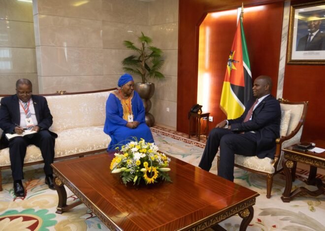 PR recebe antiga presidente da Comissão da União Africana – Jornal Domingo
