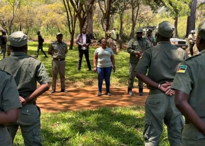 Administradora de Sussundenga visita Chimanimani – Jornal Domingo